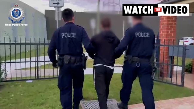 Finks arrest