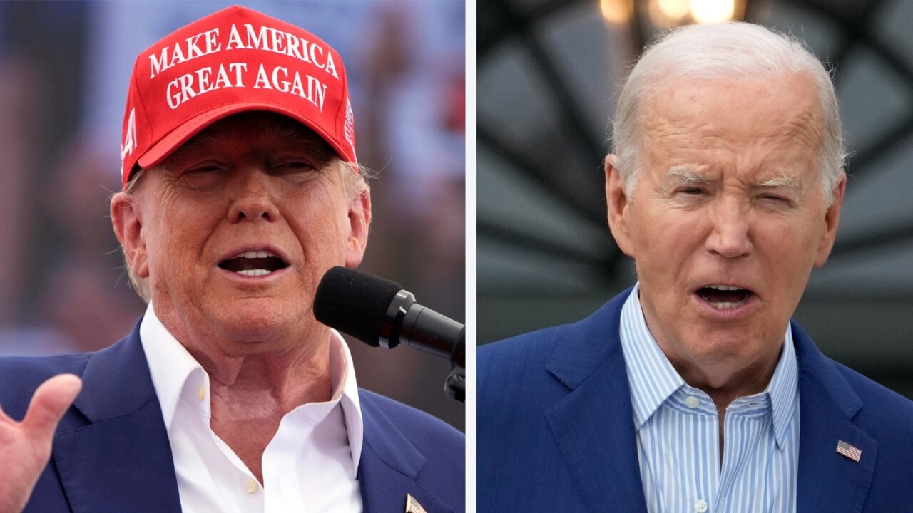 Trump vs Biden: ‘Too early’ to look at polls says democratic strategist