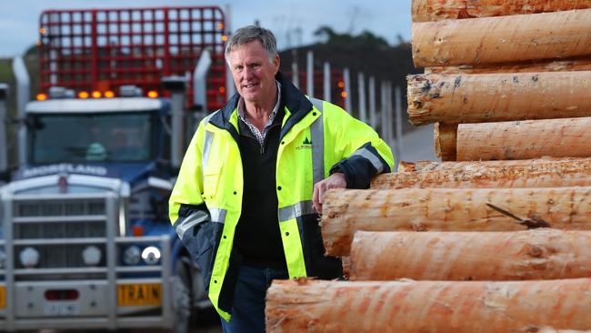 Ian McDonnell, director of N.F. McDonnell &amp; Sons Sawmill, Mt Gambier. Picture: Tait Schmaal