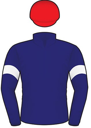 2019 Melbourne Cup runner Twilight Payment.