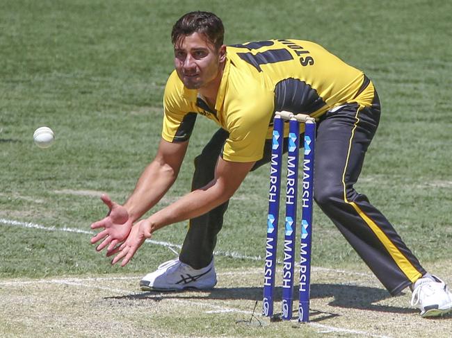 Marcus Stoinis of the Warriors fielding during the Marsh One Day Cup, Match 16, between Queensland Bulls and Western Australia at Metricon Stadium, Gold Coast, Thursday, October 31, 2019. (AAP Image/Glenn Hunt) NO ARCHIVING