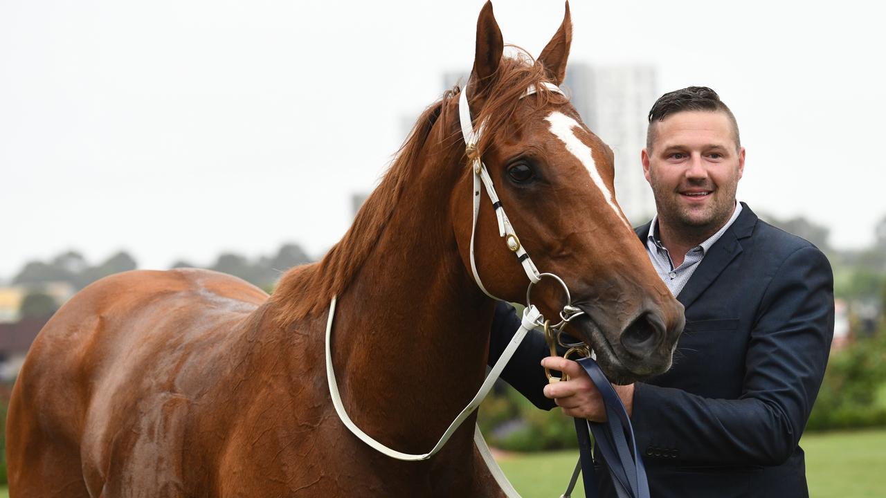 Lightning-fast Gytrash defies his long odds in Black Caviar win | The ...