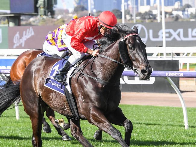 The Prodigal Son ridden by Damien Oliver wins the VRC Member Pamela Perry Aspirant Sprint at Flemington Racecourse on August 05, 2023 in Flemington, Australia. (Photo by Brett Holburt/Racing Photos via Getty Images)