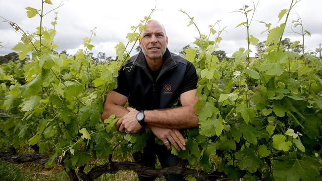 Mike Brown, winemaker at Gemtree Wines in Mclaren Flat, said the company cancelled a shipment to China because of the uncertainty.