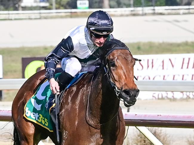 Pride Of Sullivan ridden by Daniel Stackhouse wins the BusBiz.net.au Maiden Plate at Swan Hill Racecourse on June 10, 2023 in Swan Hill, Australia. (Photo by Brendan McCarthy/Racing Photos)