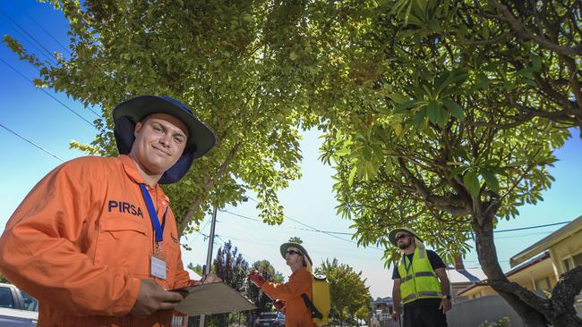 PIRSA team leader Andrew Henderson and his crew checking and spraying for fruit fly last month. Picture: Roy VanDerVegt