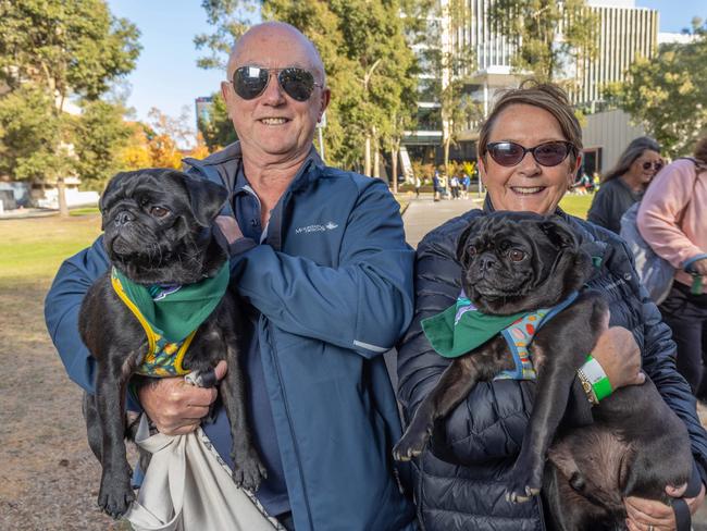 RSPCA SA's Million Paws Walk in Adelaide on May 25, 2025. Picture: Ben Clark