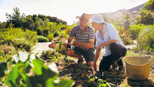 Empty supermarket shelves were an unpleasant first for most Australians during COVID, so a stronger focus on homegrown produce will benefit the regional areas.