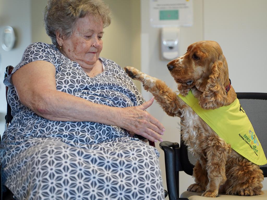 Elvie Fawcett looks forward to the weekly visit from Sunni the spaniel. Picture: Heidi Petith