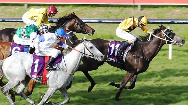 Steve Parnham drives Ihtsahymn to victory ahead of fancied runner Luckygray. Picture: Sean Middleton