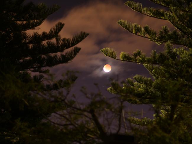 Red Moon from Victoria Park, Perth. Picture: PerthNow reader Jenny Susanto-Lee