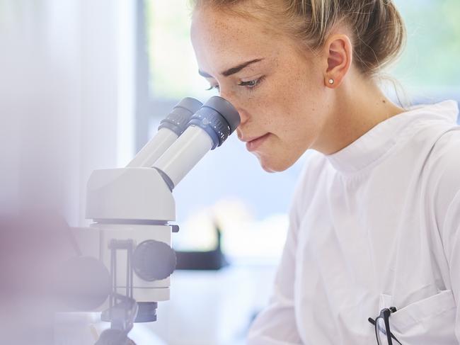 a female research scientist is analysing a sample on her microscope in a microbiology lab .  the lab is brightly lit with natural light . Blurred glassware at side of frame provides copy space .