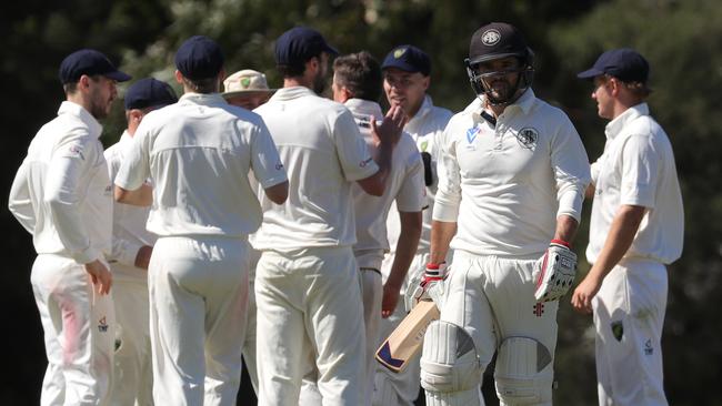 Plenty Valley celebrates the wicket of Brunswick’s Karl Mayne. Picture: Mark Dadswell