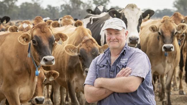 The Sprunts have established Kaarmona Holsteins and Jerseys as a breeding force to be reckoned with. Picture: Zoe Phillips