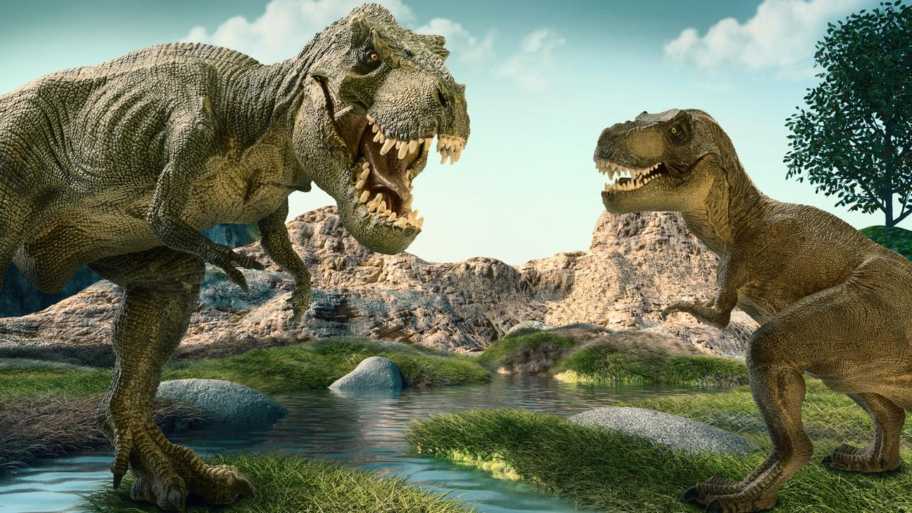 Scientists propose Tyrannosaurus had three species, not just 'rex