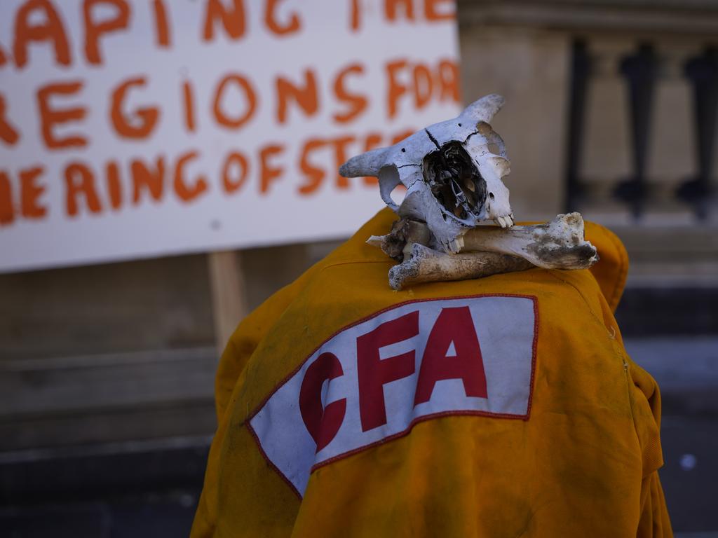 Animal bones were left on the steps of parliament. Picture: NewsWire / Valeriu Campan