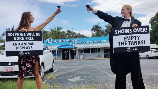 A small group of activists celebrated the 2021 ban on captive-dolphin breeding outside Dolphin Marine Conservation Park.