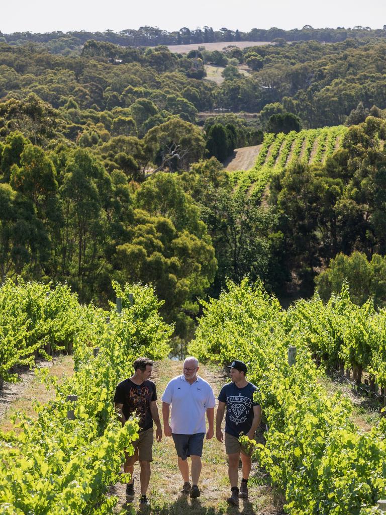 Kuitpo SA wine region: South Australia’s next big thing | The Advertiser