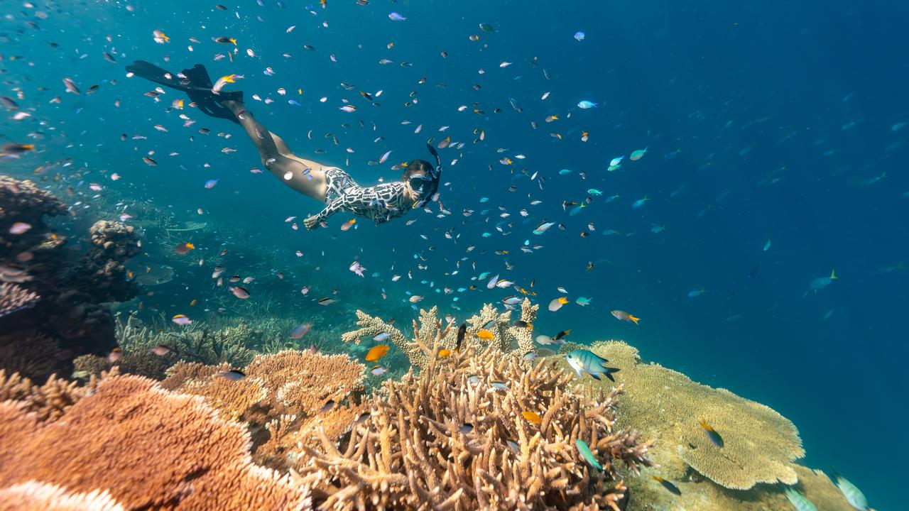 Snorkelling at the Great Barrier Reef remains an out of this world experience. Picture: Supplied