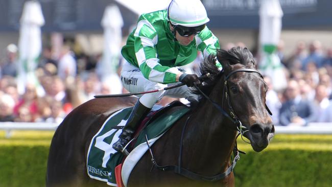 Gimcrack Stakes winner Catch Me has been backed to win next year’s Golden Slipper. Picture: AAP