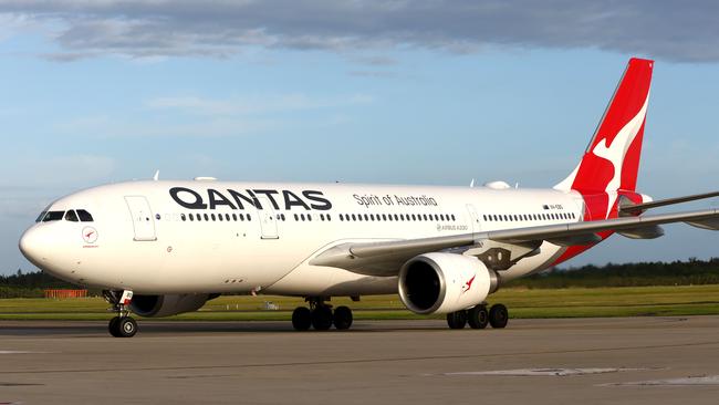 Huskii is not allowed to fly on any flight operated by a member of the Qantas Group or Jetstar Group. Picture: David Clark