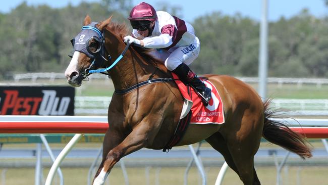 Eagle Way books himself a Queensland Derby tilt with a dominant win at Caloundra earlier this year. Picture: Grant Peters Trackside Photography