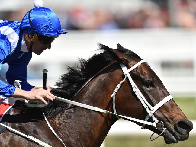 Hugh Bowman (right) rides Winx to victory in the Caulfield Stakes ahead of Black Heart Bart (left) and He or She in a three horse race on Caulfield Guineas Day at Caulfield Racecourse in Melbourne, Saturday, Oct. 8, 2016. (AAP Image/Julian Smith) NO ARCHIVING, EDITORIAL USE ONLY