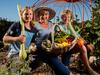 Money-savvy Aussies lead vegie garden growth