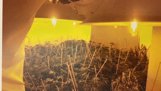 Cannabis and evidence found at a grow-house in Klemzig. Picture: Courts