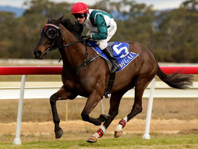 Robert Thompson wins his 11th Jungle Juice Cup at Cessnock. Picture: Waide Maguire