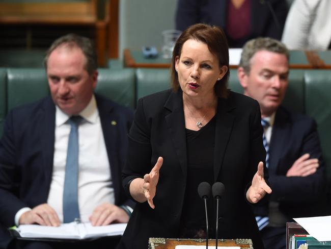 A spokeswoman for Sussan Ley said commercial flights were investigated but “not suitable” due to the Health Minister’s tight schedule. Picture: AAP/Lukas Coch