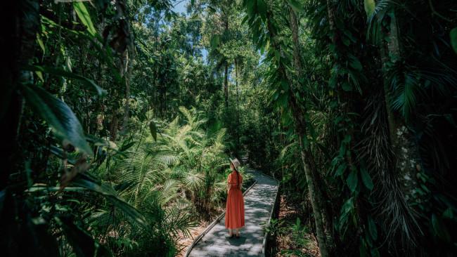 50/71Daintree Rainforest - Queensland
Feel a sense of overwhelming green hush as you enter the Daintree - the world's most ancient rainforest. Picture: Tourism and Events Queensland