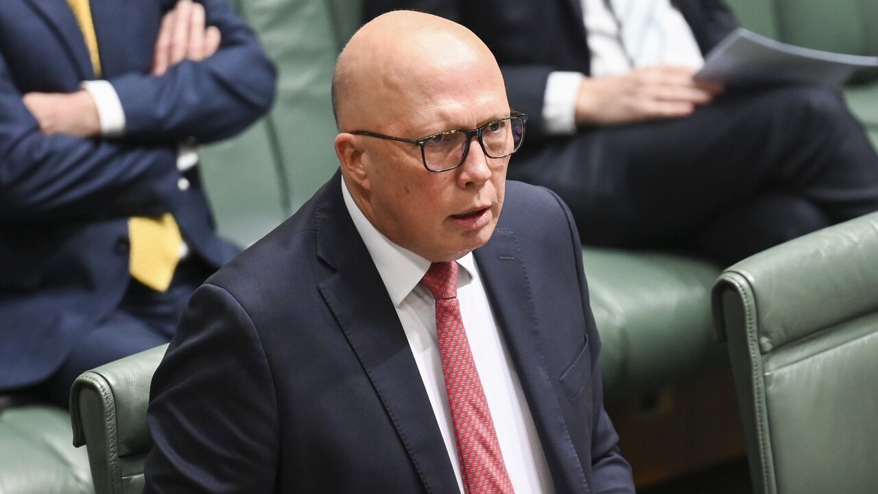 Peter Dutton ‘recommitted to fossil fuels’: Allegra Spender