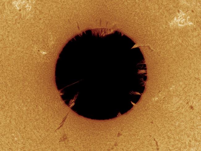 Dark Star by Peter Ward. This image won runner-up in the Our Sun category. This photograph of the Sun shows it turned ‘inside-out’ after the photographer inverted the image. It highlights the smaller prominences that occur on the edge of the Sun. Location: Australia