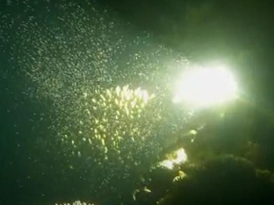 Rare underwater event caught on camera