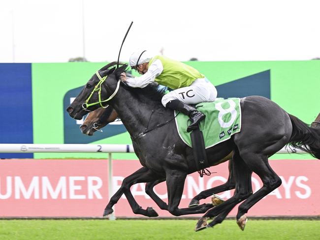 Cambar wins the TAB Highway at Rosehill Gardens on November 30, 2024. Picture: Bradley Photos