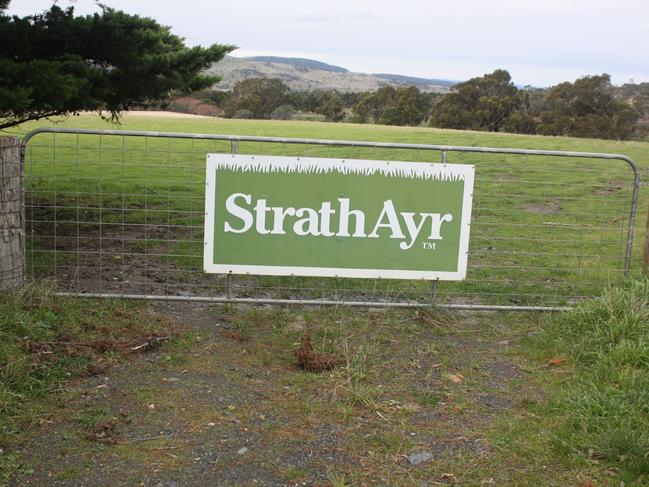 A gate at the StrathAyr farm near Richmond.