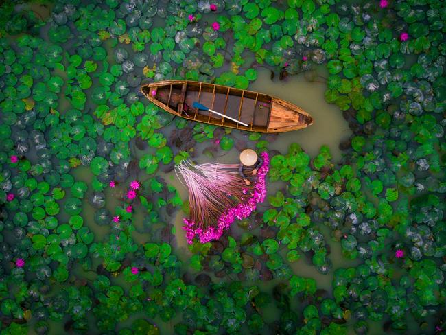 A birds-eye view of a local collecting waterlily flowers, Vietnam by helios1412
