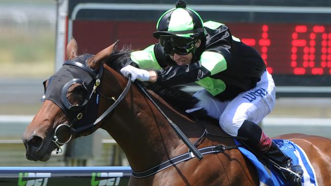 Candika had a good hitout at Eagle Farm on Tuesday.