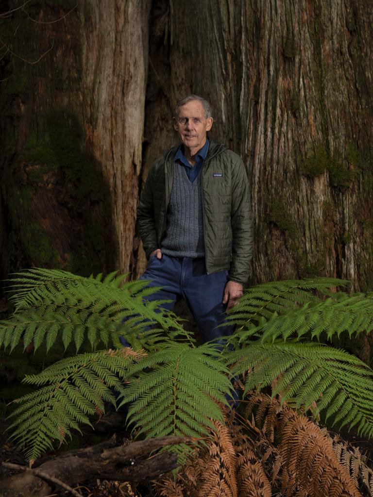 Dr Bob Brown in the Denison forest, Tasmania. Picture: Matthew Newton/Supplied