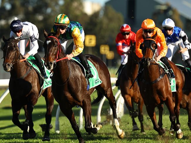 SYDNEY, AUSTRALIA - AUGUST 31: James McDonald riding Ceolwulf wins Race 8 Bankstown Sports during Sydney Racing at Rosehill Gardens on August 31, 2024 in Sydney, Australia. (Photo by Jeremy Ng/Getty Images)