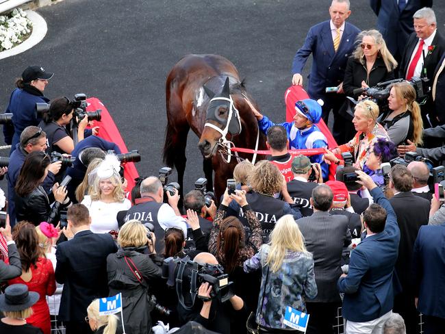 Everyone loves a winner: Winx after her 20th straight win. Picture: Tim Hunter