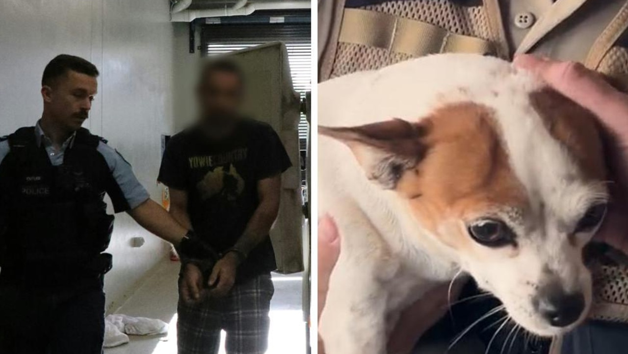‘Beast boy’: Alleged animal abuser arrested