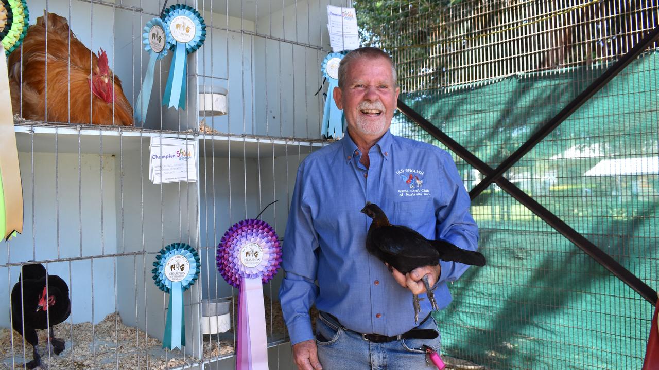 Long-time exhibitor and local 'chook guru' Wayne Quantock won Grand Champion Bird of Show with this Old English Game Brown Red hen. Picture: Kirra Grimes