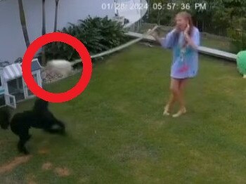 Radio star Kip Wightman posted footage of niece Rosie swinging a snake to save her guinea pig.