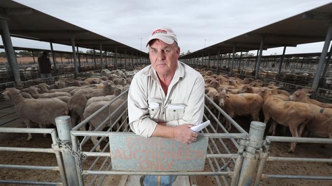 Catching up on all that's happening on the bush telegraph at the local livestock saleyards has been put on hold, with only key people such as agents, buyers and carriers asked to attend due to coronavirus. Dublin saleyard manager Andrew Lepley said the consensus was that saleyards needed to stay active as they are an essential food supply component. Picture: TAIT SCHMAAL.