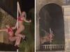 ‘Sexual’: Horror as ‘illegal act’ caught on cam