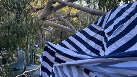 The woman was pinned for more than 30 minutes after a large gum tree fell on her at Southern Downs National Park. Picture: LifeFlight Media