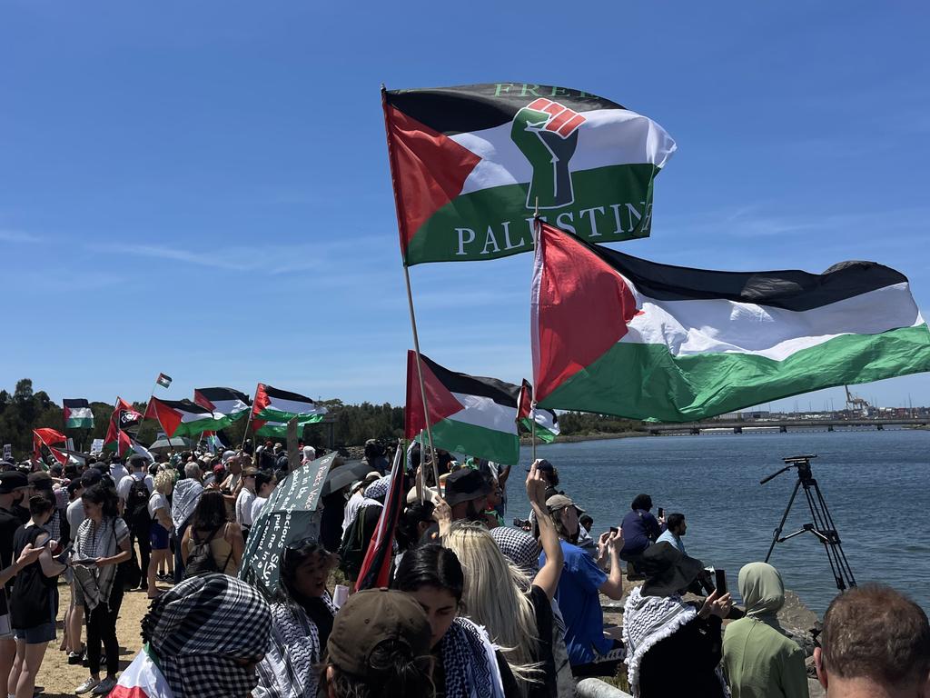 Palestine protesters rally at Port Botany against an Israeli shipping company. Picture: Dylan Robinson