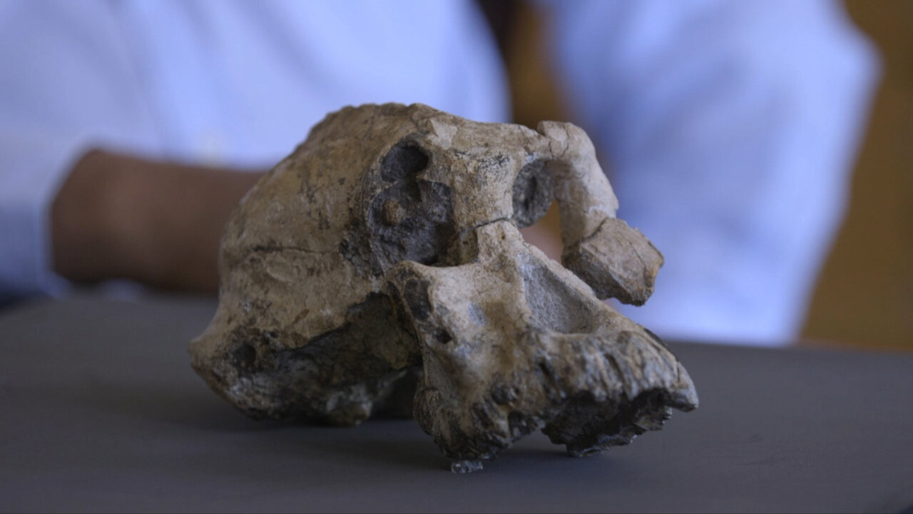 3.8 Million-Year-Old Fossil in Ethiopia Reveals Face of Early Human Ancestor